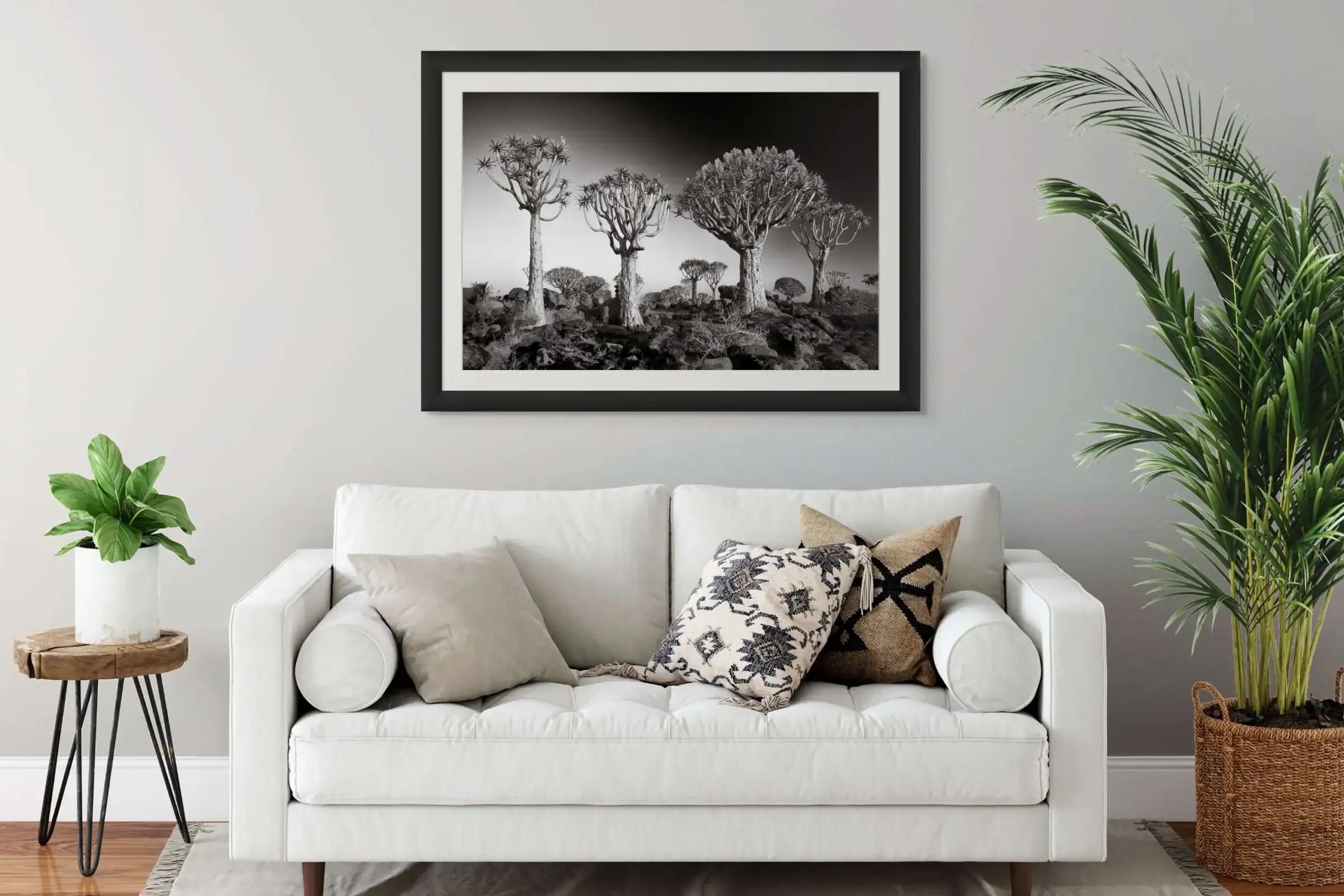 Framed Open Edition Fine Art Black-and-White Landscape Photograph of the Quiver Tree Forest in Namibia, Africa, by Rudi van den Heever