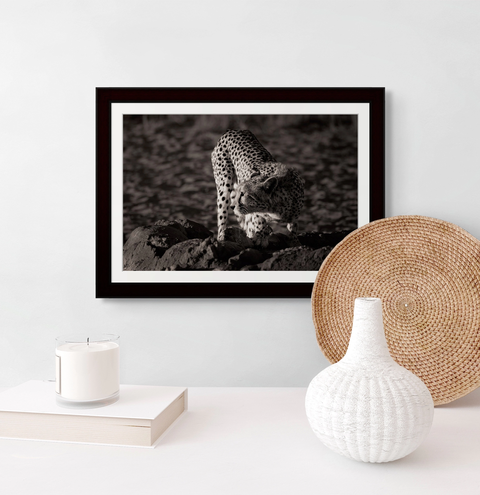 Framed Fine Art Black-and-White Wildlife Photo of Last Light Cheetah, by Wildlife Photographer Rudi van den Heever
