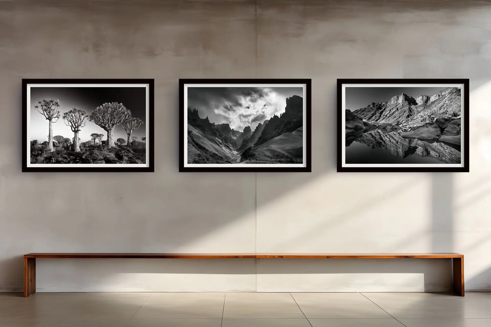 Black-and-White African Landscape Photography by Rudi van den Heever framed as Fine Art Prints and displayed in gallery